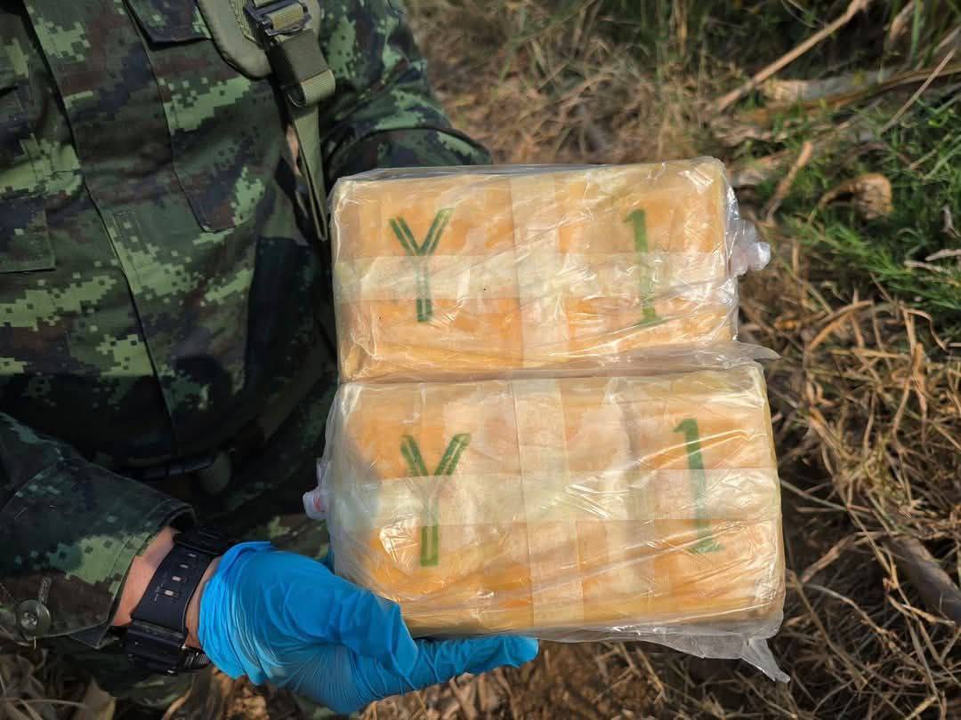 泰缅边境查获超60万片dupin