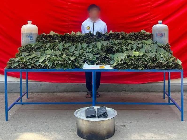 大其力帕亮一区查获卡痛叶及熬制液 一名男子被捕-缅北警务报道