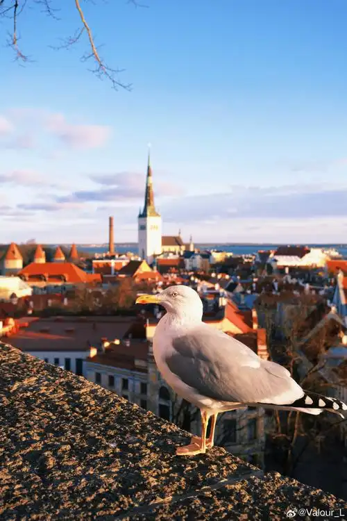 旅行见闻-缅北警务报道