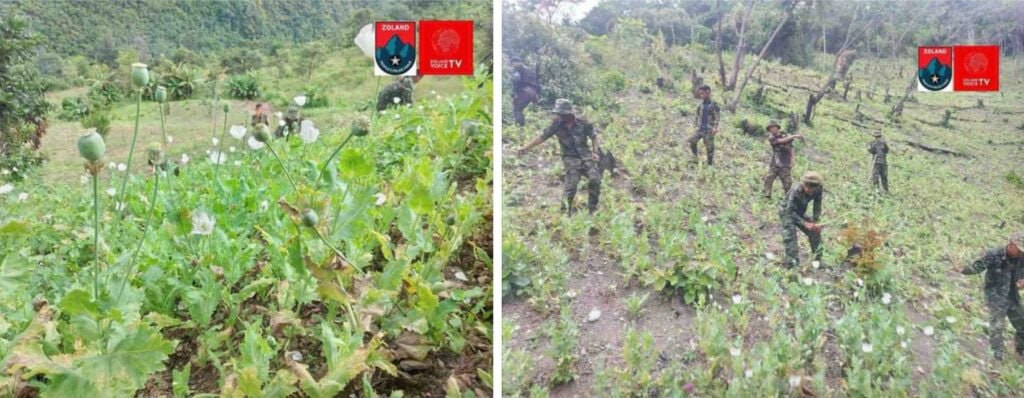 缅甸钦邦禁毒风暴：抓罂粟工还是补兵源？