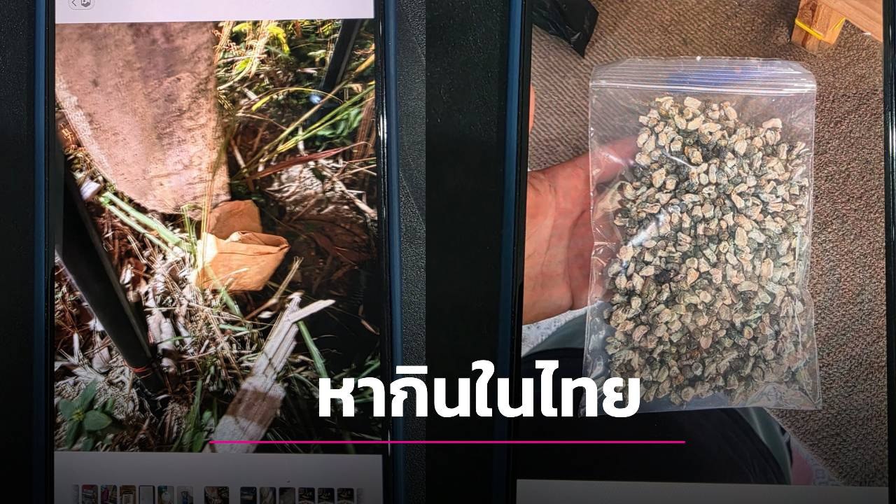 袜子里藏毒！以色列黑手党头目在泰国帕岸岛落网，价值5000万铢毒品被缴-缅北警务报道